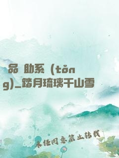 極品輔助系統(tǒng)