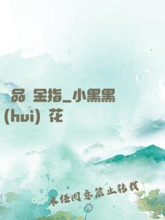 極品黃金指