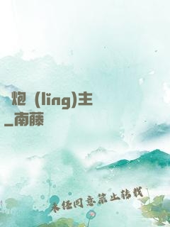 槍炮領(lǐng)主