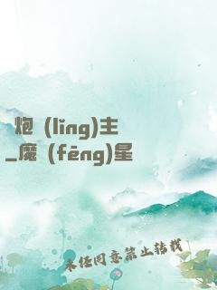 槍炮領(lǐng)主