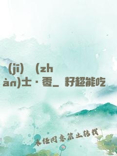 機(jī)動戰(zhàn)士·零