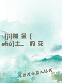 機(jī)械煉金術(shù)士