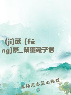 機(jī)武風(fēng)暴
