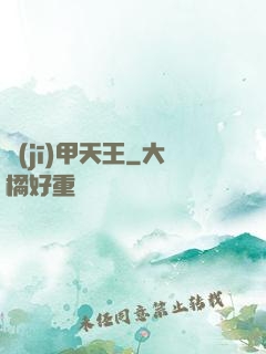 機(jī)甲天王