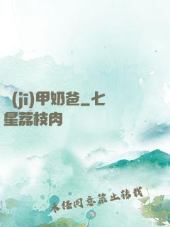 機(jī)甲奶爸