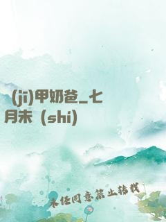 機(jī)甲奶爸
