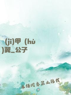 機(jī)甲護(hù)翼