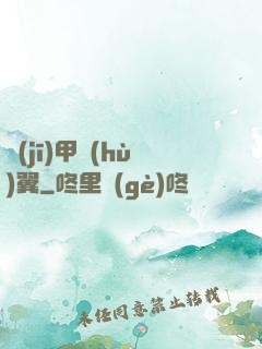 機(jī)甲護(hù)翼
