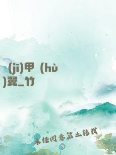 機(jī)甲護(hù)翼