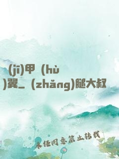 機(jī)甲護(hù)翼