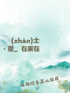 機動戰(zhàn)士·零