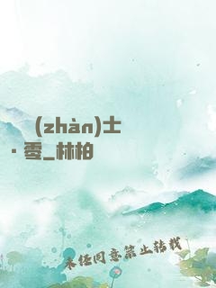 機動戰(zhàn)士·零