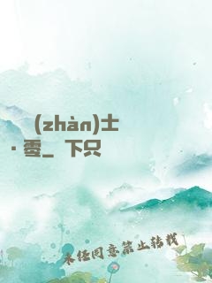 機動戰(zhàn)士·零