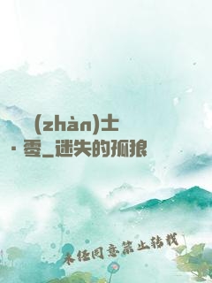 機動戰(zhàn)士·零