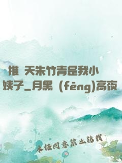 橫推諸天朱竹青是我小姨子