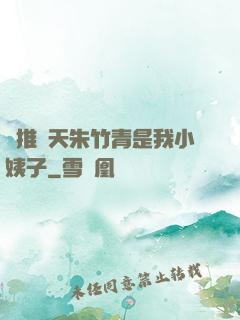 橫推諸天朱竹青是我小姨子