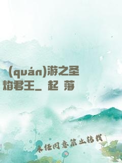 權(quán)游之圣焰君王