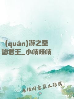 權(quán)游之圣焰君王