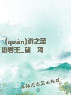 權(quán)游之圣焰君王