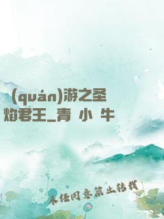 權(quán)游之圣焰君王