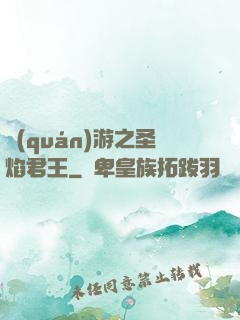 權(quán)游之圣焰君王