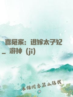 歡喜冤家：逃嫁太子妃