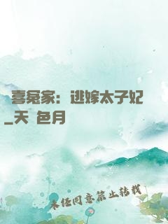 歡喜冤家：逃嫁太子妃