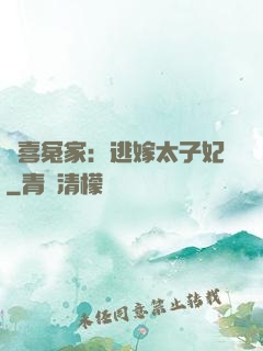 歡喜冤家：逃嫁太子妃
