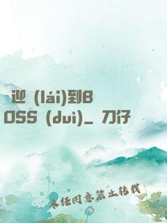 歡迎來(lái)到BOSS隊(duì)