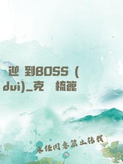 歡迎來到BOSS隊(duì)