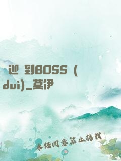歡迎來到BOSS隊(duì)
