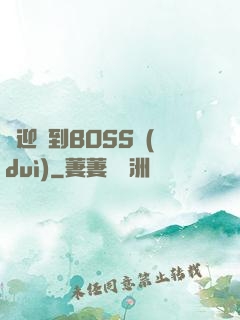 歡迎來到BOSS隊(duì)