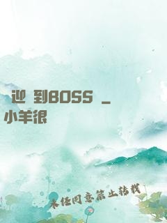 歡迎來到BOSS隊