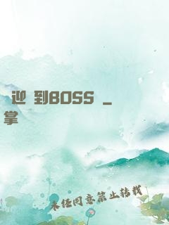 歡迎來到BOSS隊
