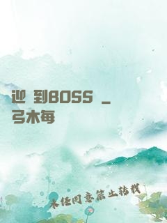 歡迎來到BOSS隊