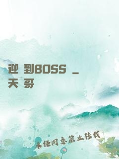 歡迎來到BOSS隊
