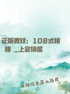 正版妻奴：108式相愛相殺