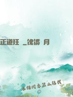 正道狂龍