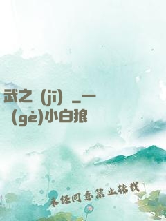 武之機(jī)鎧