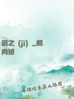 武之機(jī)鎧