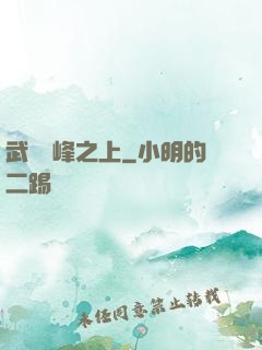 武俠巔峰之上