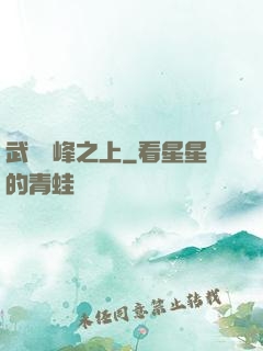 武俠巔峰之上