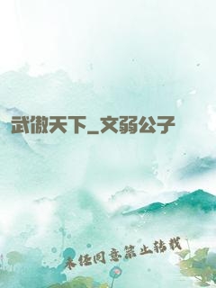 武傲天下