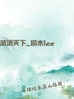 武傲天下