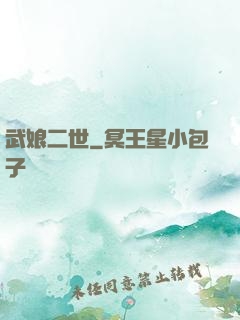武娘二世