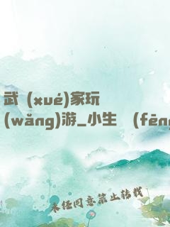 武學(xué)家玩網(wǎng)游