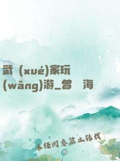 武學(xué)家玩網(wǎng)游