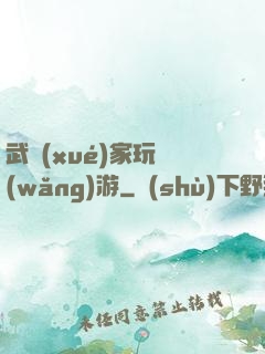 武學(xué)家玩網(wǎng)游
