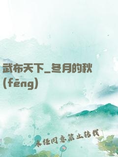 武布天下