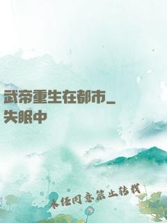 武帝重生在都市